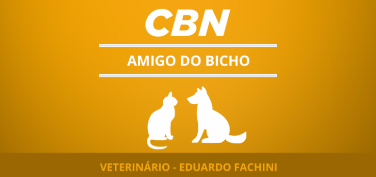 Pets sofrem com cólicas de gases?