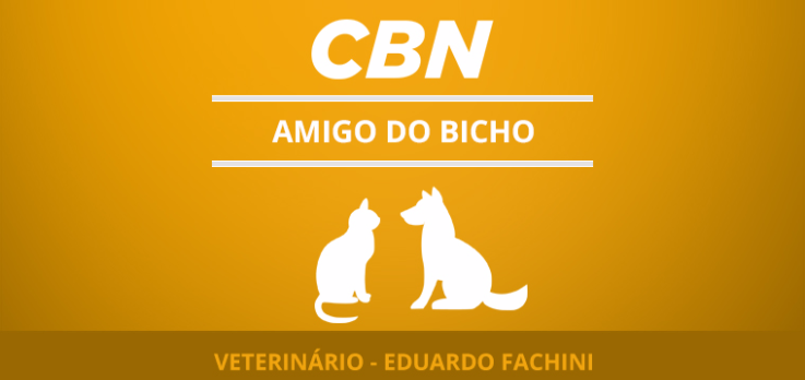 Higienização do ouvido dos pets