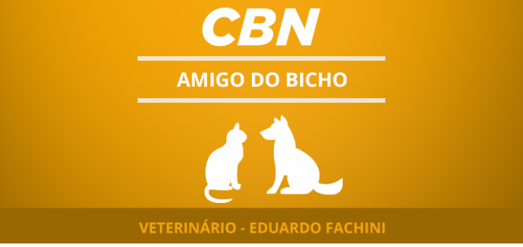 Tumores mais comuns nos animais