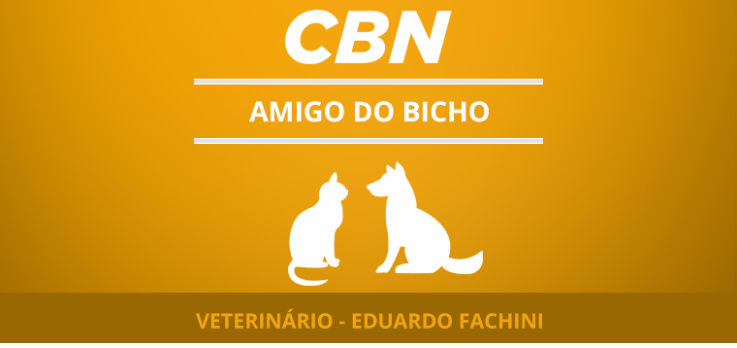 Por que os cães andam em círculos antes de deitar?