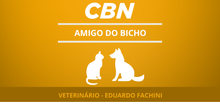 Cuidados gerais com iguanas