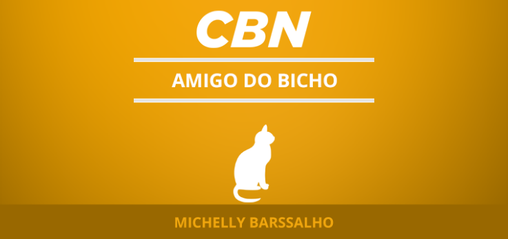 A obesidade nos animais