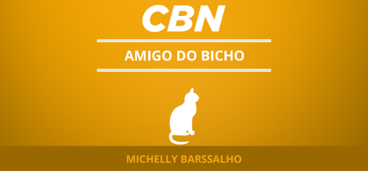 Adoção de gatos