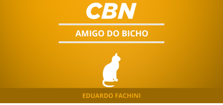 Os pets sentem nossa falta quando viajamos?