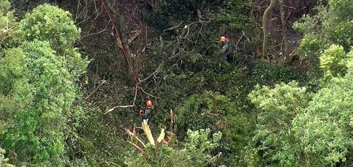 Cenipa investiga queda de avião de empresário de Nova Granada