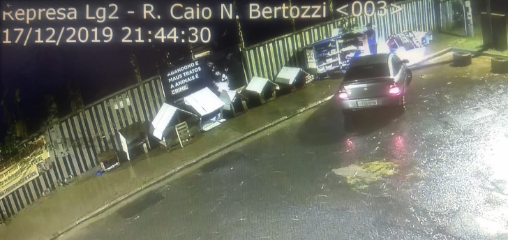 Casal é flagrado abandonando gatos na Represa Municipal de Rio Preto