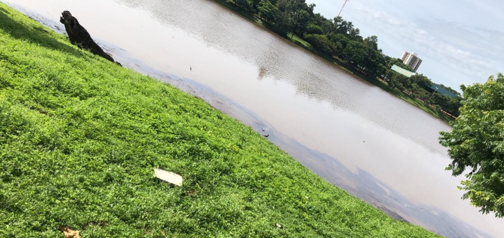 Órgãos ambientais investigam vazamento de óleo na Represa Municipal