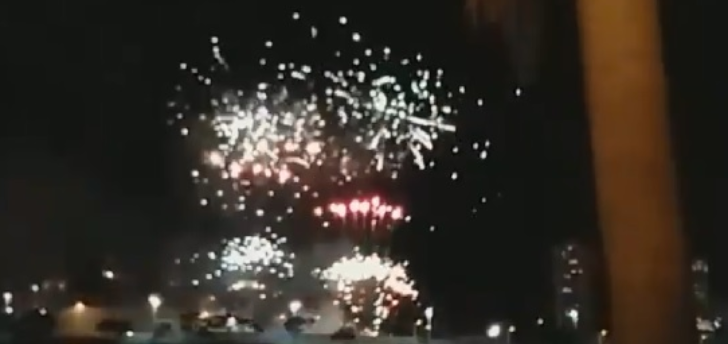 Protetores e vereadora acusam Prefeitura de descumprir lei que proíbe fogos barulhentos