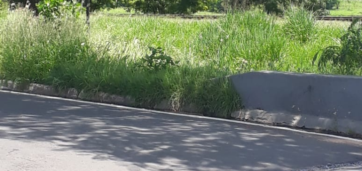 Prefeitura de Catanduva gastará R$ 547 mil com roçagem pelos próximos seis meses
