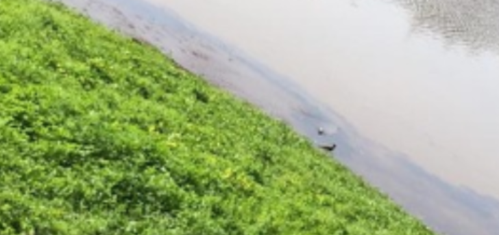 Constroeste não responde sobre vazamento de óleo na Represa Municipal
