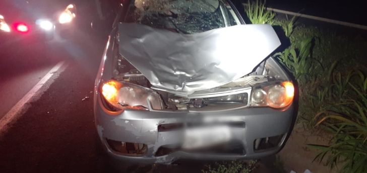 Mulher morre após ser atropelada na BR-153
