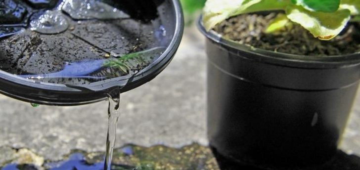 Saúde inicia 'arrastão' contra dengue em Santa Fé do Sul 