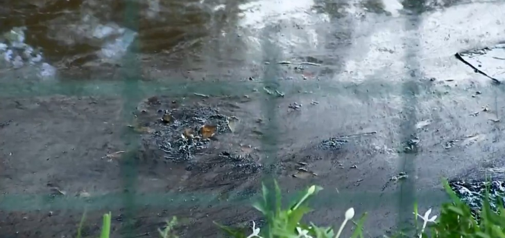 Constroeste é multada em R$ 27,6 mil por vazamento de óleo na Represa Municipal