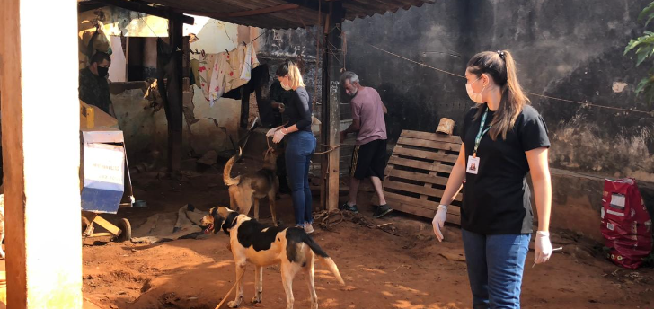 Proprietário de cachorros usados para caça de javali é multado em R$ 117 mil