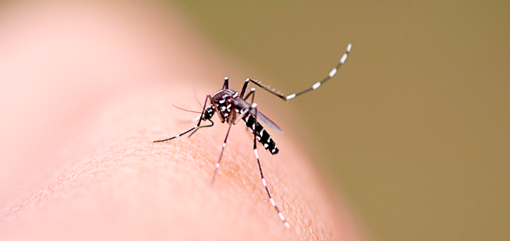 Rio Preto chega a 6.354 casos de dengue em 2020