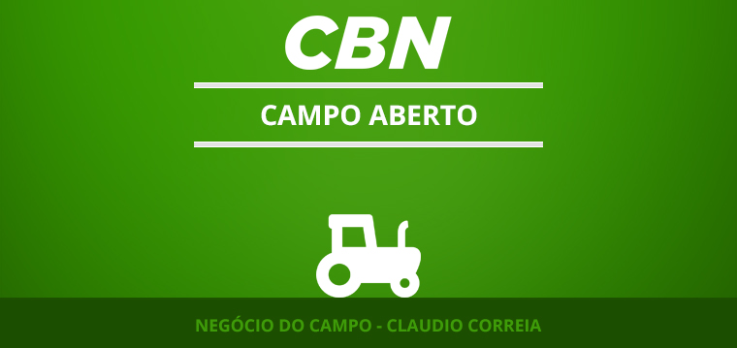 Produtos agropecuários movimentam 21% dos portos brasileiros