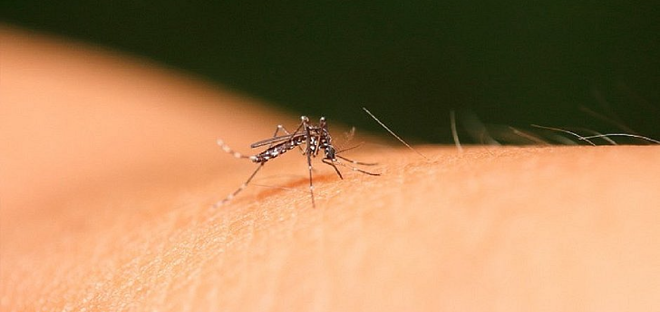 Rio Preto chega a 6.578 casos de dengue em 2020