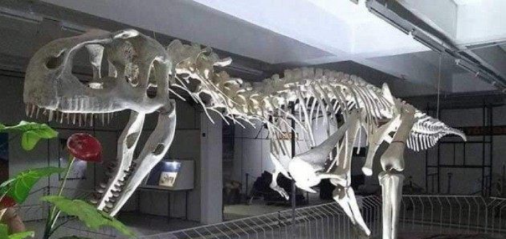 Contemplado em edital do estado, Museu de Uchoa ganha R$ 100 mil