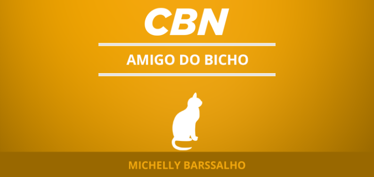 Animais de estimação e ceia de natal
