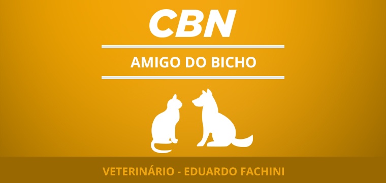 Repelentes para gatos