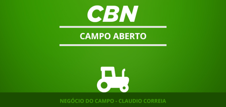 ABPA irá incentivar consumo de carne de frango e suína.