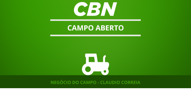 Exportação de açúcar e venda de etanol das usinas estão em queda