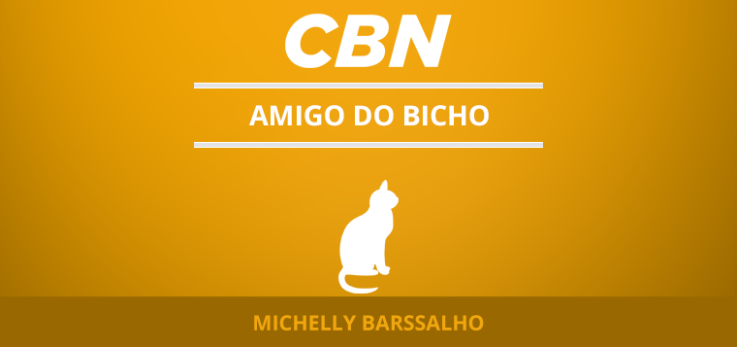 Cuidados com os pets no Carnaval