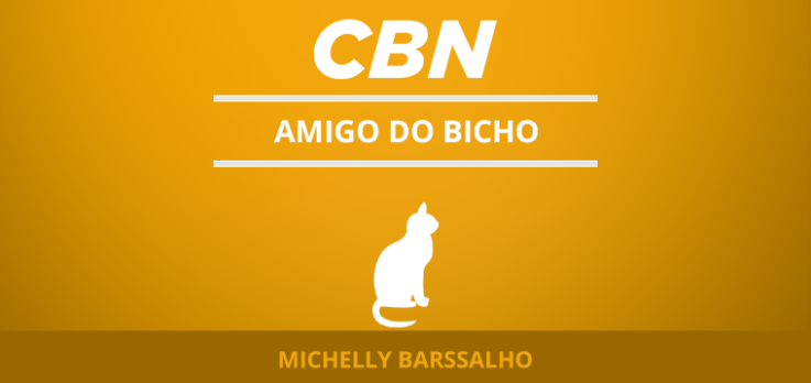 Mancha escura nos olhos dos pets é chamada de epífora