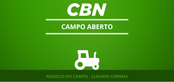 Milho safrinha em queda 