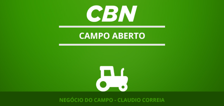 Exportações de carne bovina tem números importantes 