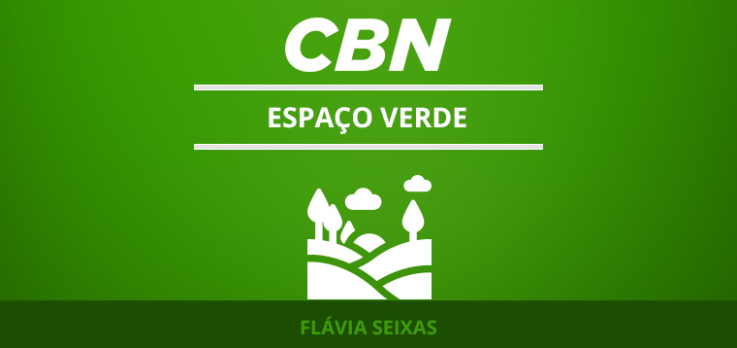 Mitos e verdades das plantas