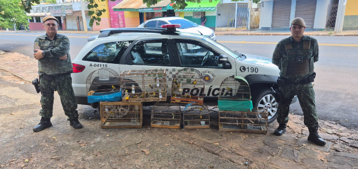 Polícia Ambiental resgata e solta 66 pássaros vítimas de maus-tratos em Rio Preto