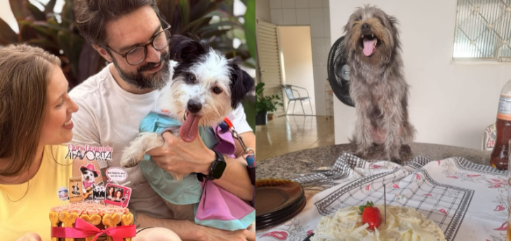 Cães ganham festa de aniversário com direito a convidados em Rio Preto