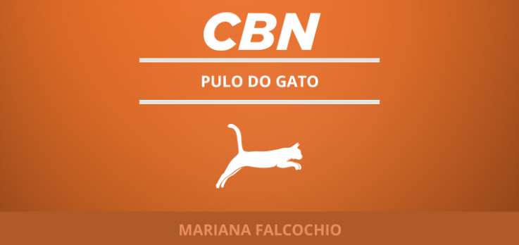Gatos devem ter vida livre?