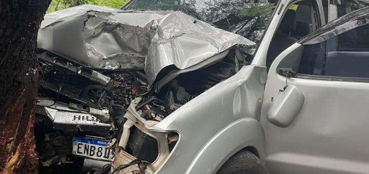 Motorista morre após colidir contra árvore em Rio Preto