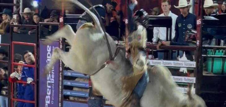 Como funciona a etapa da PBR no Rio Preto Country Bulls