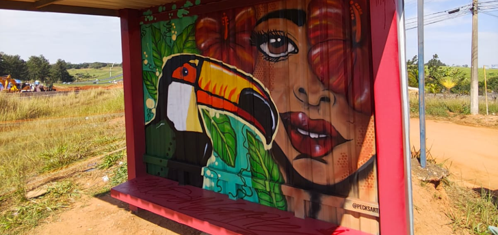 Artista de rua de Rio Preto decora a região há 32 anos