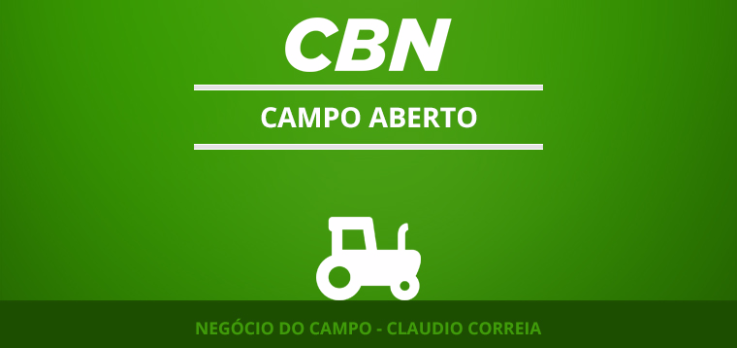 Governo do Estado autorizou a queima controlada da palha de cana-de-açúcar 