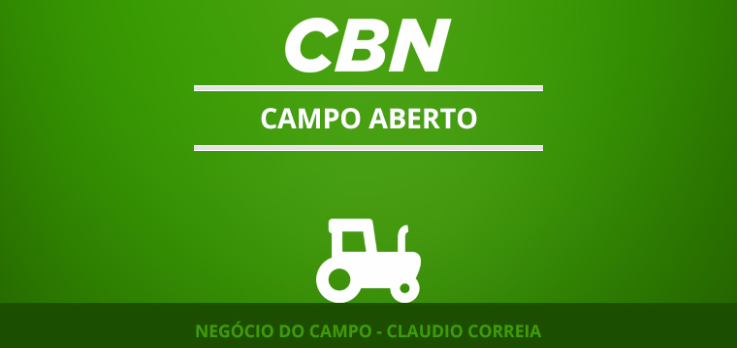 Exportação de açúcar atinge máxima em quase 4 anos
